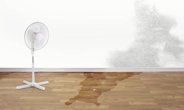 Best Water damage contractors near me  in New Cassel, NY